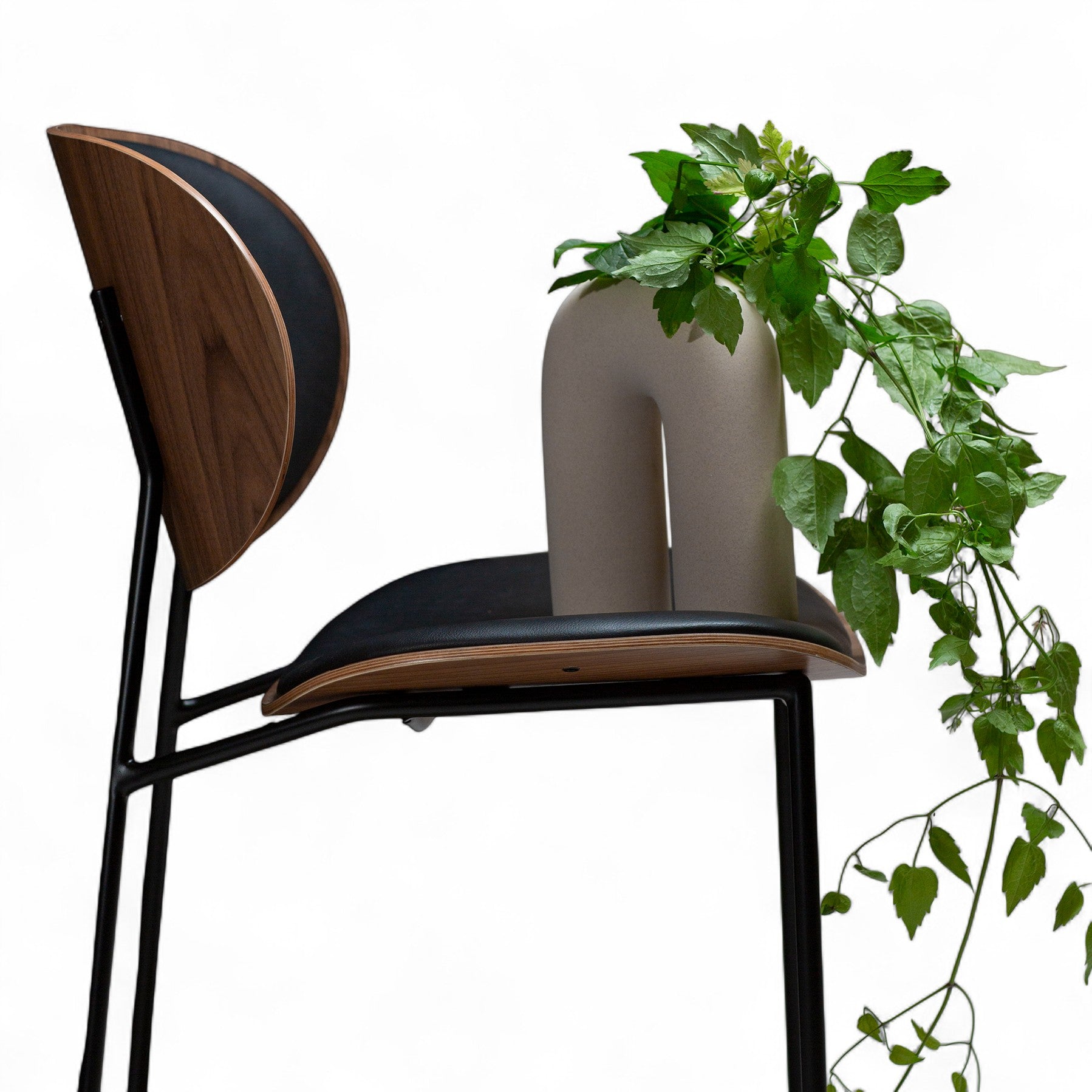 CLEMENTINA Spisebordsstol